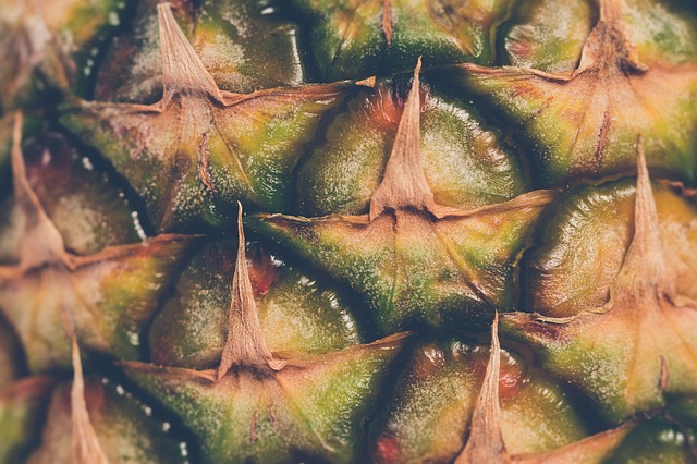 Kunnen honden ananas eten: wat je moet weten